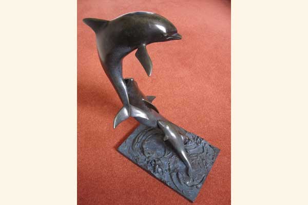 David Backhouse: Dolphin Group