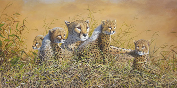 Mark Whittaker: Cheetah Family 