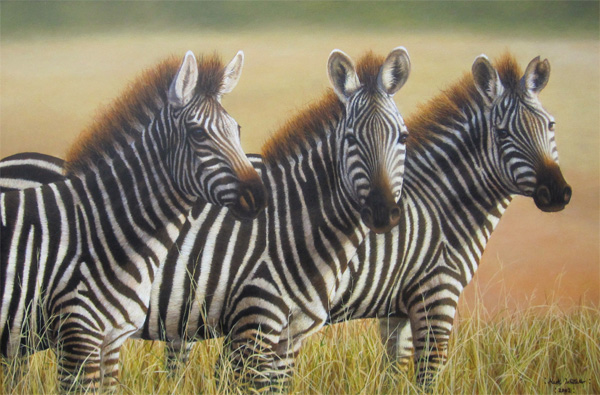 Mark Whittaker: Zebras