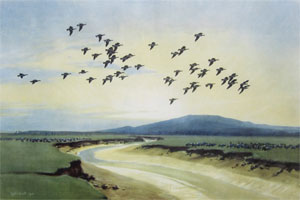 Click for details...